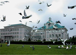 沈阳大学工商管理学院MBA教育中心